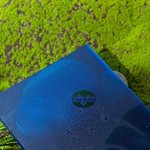 Tấm Lợp Lấy Sáng Vinlite Đặc 3mm (ly)